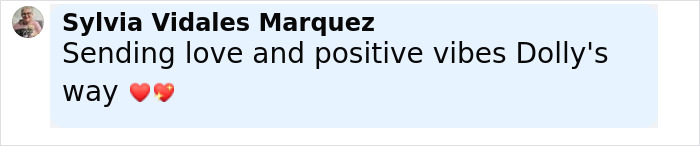 Comment by Sylvia Vidales Marquez sending love and positive vibes for Dolly Parton amid health struggles.