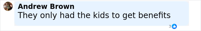 Facebook comment by Andrew Brown discussing kids and benefits related to parents of 22 and a $70,000 Disney vacation court case.
