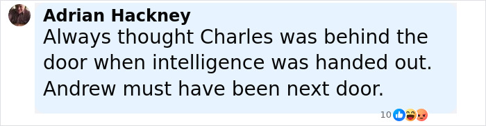 Comment by Adrian Hackney about Prince Andrew, displayed on a digital social media post with reactions shown below.