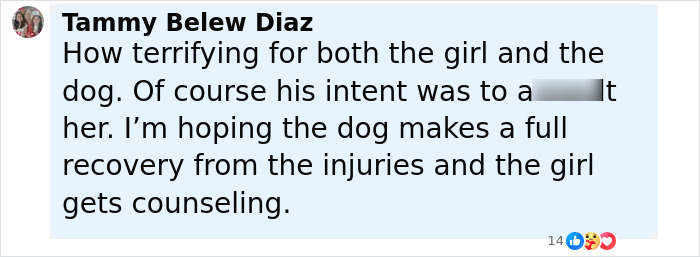 Comment discussing the pit bull protecting a 15-year-old girl from an alleged attacker and hoping for the dog's recovery.