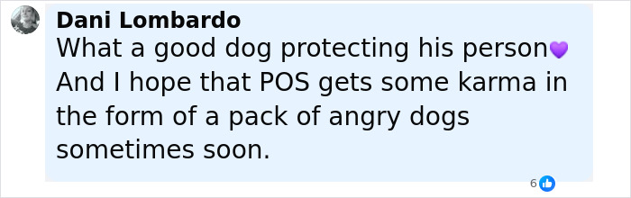 Comment praising a pit bull for protecting a girl and hoping the alleged attacker faces consequences soon.