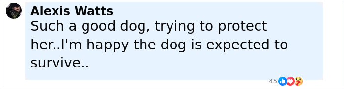 Comment praising a pit bull&rsquo;s protective actions while defending a girl, expressing hope the dog will survive after being thrown off a balcony.