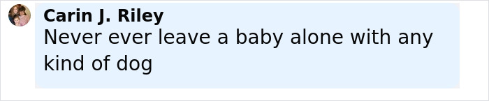 Comment warning about never leaving a baby alone with any kind of dog, related to Pit Bull attack incident.