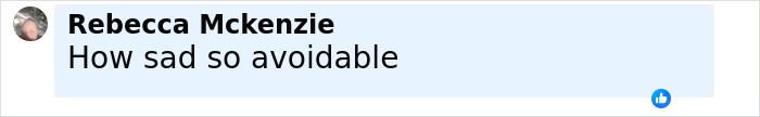User comment on social media expressing sadness about pit bull attack on 6-month-old baby incident.