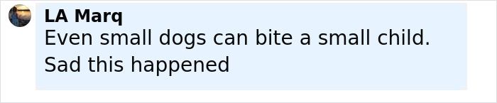 Comment from user LA Marq about small dogs biting a child, expressing sadness about a pit bull attack on a 6-month-old baby.