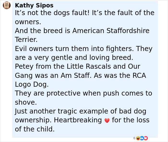 Comment discussing dog owners' responsibility and breed traits after pit bull attack on 6-month-old baby incident.