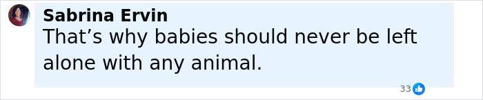 Facebook comment by Sabrina Ervin stating that babies should never be left alone with any animal after pit bull attack.