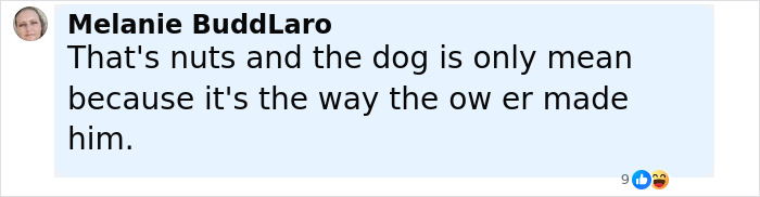 Commenter Melanie BuddLaro expressing opinion about dog behavior after pit bull attack on baby.