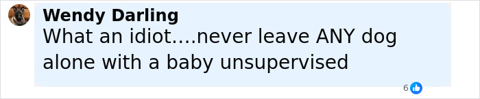 Comment on social media post expressing concern about leaving a dog alone with a baby after a pit bull attack incident.