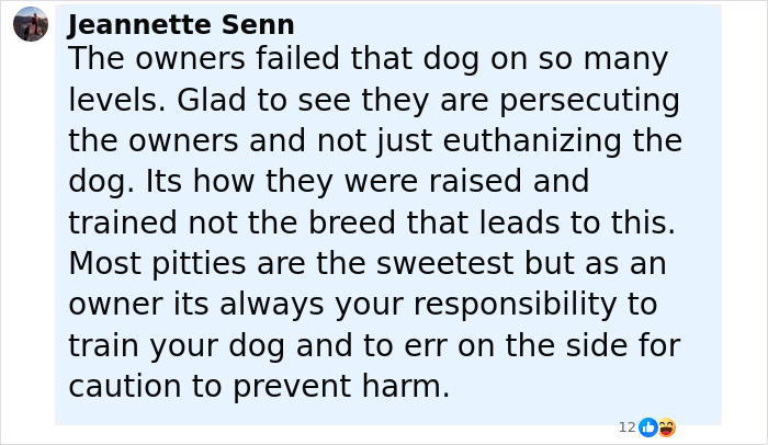 Comment on dog attack highlighting owner responsibility after pit bull's horror attack on 6-month-old baby.