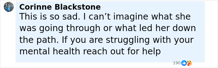 Comment by Corinne Blackstone expressing sadness and urging those struggling with mental health to seek help, related to Disney superfan case.