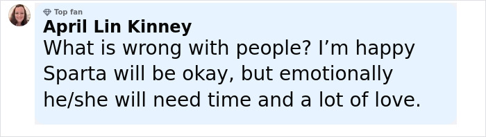 Comment by April Lin Kinney expressing concern about the Pit Bull thrown off a balcony while protecting a 15YO girl.