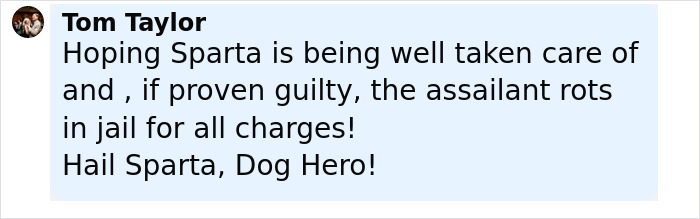 Comment from Tom Taylor expressing support for Sparta, a pit bull hero protecting a 15-year-old girl from an attacker.