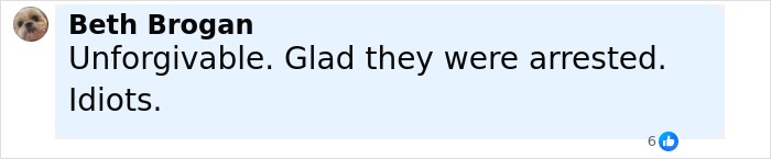Comment by Beth Brogan expressing that leaving a baby alone at the beach is unforgivable and is glad the parents were arrested. Comment by Beth Brogan expressing that leaving a baby alone at the beach is unforgivable and is glad the parents were arrested.