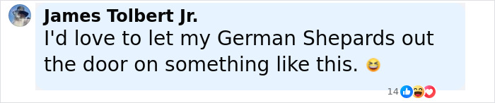 Comment by James Tolbert Jr. expressing desire to let his German Shepherds out during a disturbing doorbell prank with masked trio twist.
