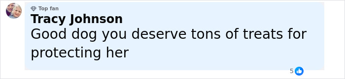 Facebook comment praising pit bull for protecting girl, saying dog deserves treats for its loyalty and bravery.