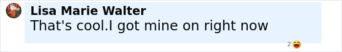 Comment from Lisa Marie Walter saying she is wearing the wig for private parts underwear right now, with laughing emoji reaction.