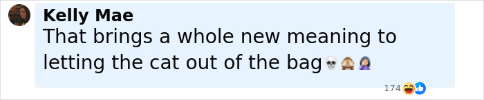 Screenshot of a social media comment reacting to wig for private parts in Kim Kardashian's intimate hair underwear line.