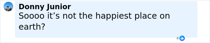 Facebook comment by Donny Junior questioning if it's the happiest place on earth, related to pregnant Disney superfan missing case.