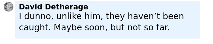 Comment by David Detherage discussing capture status of jewel thieves, related to America&rsquo;s most notorious jewel thief insights.