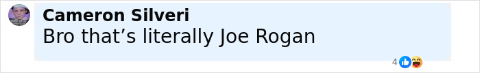 Comment on social media saying Bro that&rsquo;s literally Joe Rogan, related to Matt LeBlanc reappearing as Joey discussion.