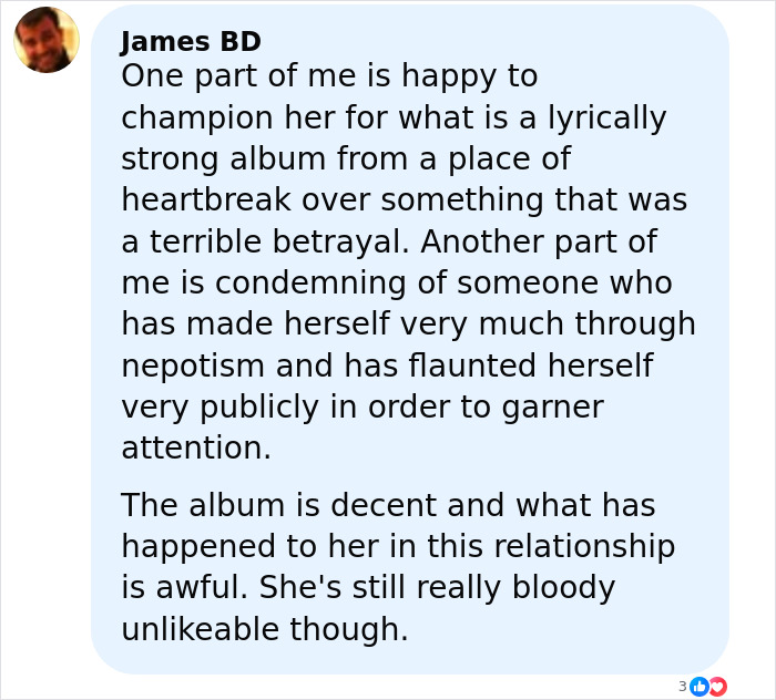 Commenter sharing mixed views on Lily Allen&rsquo;s lyrically strong album about David Harbour and its emotional impact.