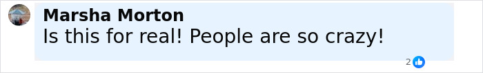 Comment by Marsha Morton expressing disbelief and concern about a 12-year-old escaping severe mistreatment at home.