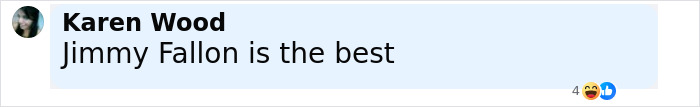 Comment by Karen Wood praising Jimmy Fallon as the best, displayed in a social media-style format.