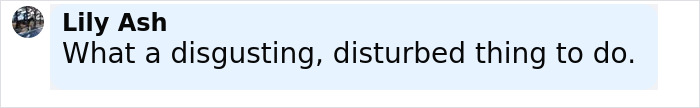 Comment by Lily Ash stating a situation is a disgusting and disturbed thing to do, shown in a social media post.