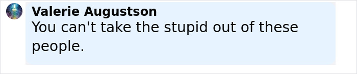 Comment by Valerie Augustson stating you can't take the stupid out of these people in black text on light blue background.