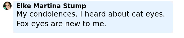 Comment from Elke Martina Stump discussing condolences and mentioning fox eyes in relation to influencer surgery complications.