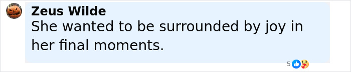 Comment by Zeus Wilde expressing a wish for joy surrounding a pregnant Disney superfan before she was found lifeless.