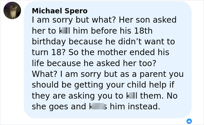 Comment discussing a mother confessing to taking her teen son's life to fulfill his final wish.