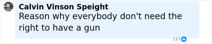 Comment by Calvin Vinson Speight discussing opinions on gun rights in a social media post with 117 likes.