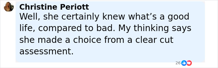 Comment from Christine Periott reflecting on a Holocaust survivor Ruth Posner and husband&rsquo;s choice after taking their own lives.