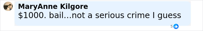 Comment text on social media discussing $1000 bail, relating to healthcare exec and husband leaving baby alone at beach. Comment text on social media discussing $1000 bail, relating to healthcare exec and husband leaving baby alone at beach.
