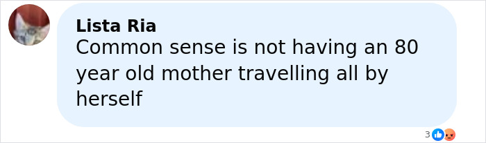 Comment by user Lista Ria expressing concern about an elderly woman traveling alone before being stranded on a remote island.