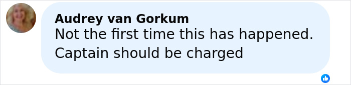 Comment from Audrey van Gorkum expressing concern about the captain&rsquo;s responsibility in elderly woman stranded on remote island case.