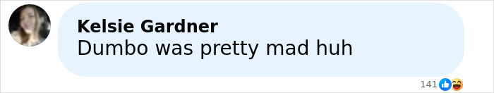 Comment on social media post referencing a Florida man&rsquo;s arrest after a tantrum at Starbucks over a Pride flag.