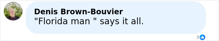 Comment reading Florida man says it all, with blurred profile picture, on a light blue social media background.