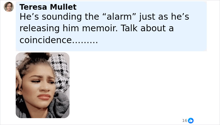 Commenter Teresa Mullet reacting skeptically with a concerned expression to Kevin Federline’s claims about Britney Spears. Commenter Teresa Mullet reacting skeptically with a concerned expression to Kevin Federline’s claims about Britney Spears.
