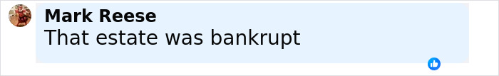 Comment by Mark Reese saying that the estate was bankrupt, relating to Paris Jackson&rsquo;s claim against Michael Jackson&rsquo;s estate.