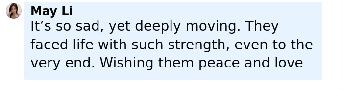 Comment from May Li expressing sadness and admiration for the strength of Holocaust survivor Ruth Posner and husband.