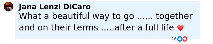 Comment by Jana Lenzi DiCarlo expressing admiration for Holocaust survivor Ruth Posner and husband&rsquo;s decision to end their lives together.