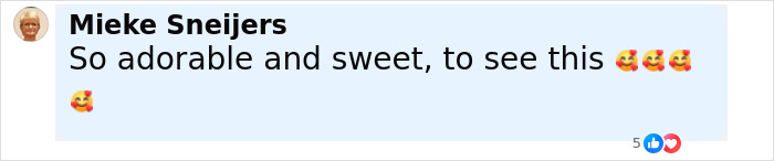 Comment from Mieke Sneijers expressing how adorable and sweet it is to see the golden retriever giving a baby koala a piggyback ride. Comment from Mieke Sneijers expressing how adorable and sweet it is to see the golden retriever giving a baby koala a piggyback ride.