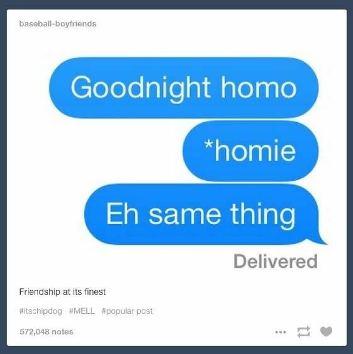 Text message meme showing playful typo confusion between homo and homie, reflecting unhinged evil thoughts humor.