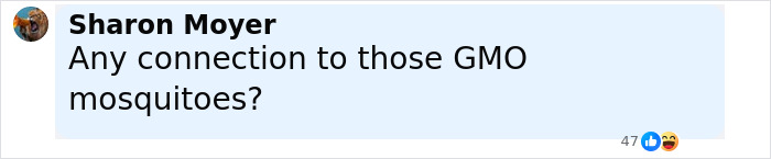 Facebook comment by Sharon Moyer asking about any connection to GMO mosquitoes, relevant to zombie deer disease concerns. Facebook comment by Sharon Moyer asking about any connection to GMO mosquitoes, relevant to zombie deer disease concerns.