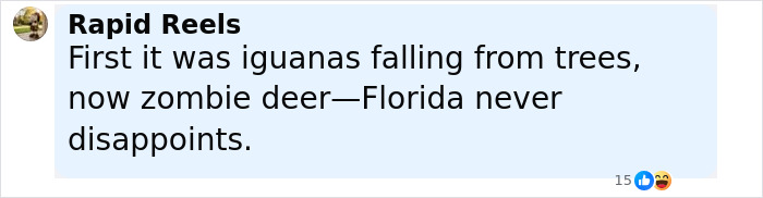 Comment mentioning zombie deer disease in Florida, highlighting concerns and local reactions to the outbreak. Comment mentioning zombie deer disease in Florida, highlighting concerns and local reactions to the outbreak.