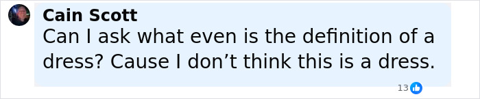 Comment by Cain Scott questioning the definition of a dress in relation to Dakota Johnson&rsquo;s see-through outfits.