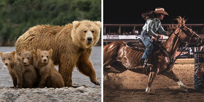 The 1839 Awards Have Announced The Winners Of The 2025 Photographer Of The Year Contest (39 Pics)